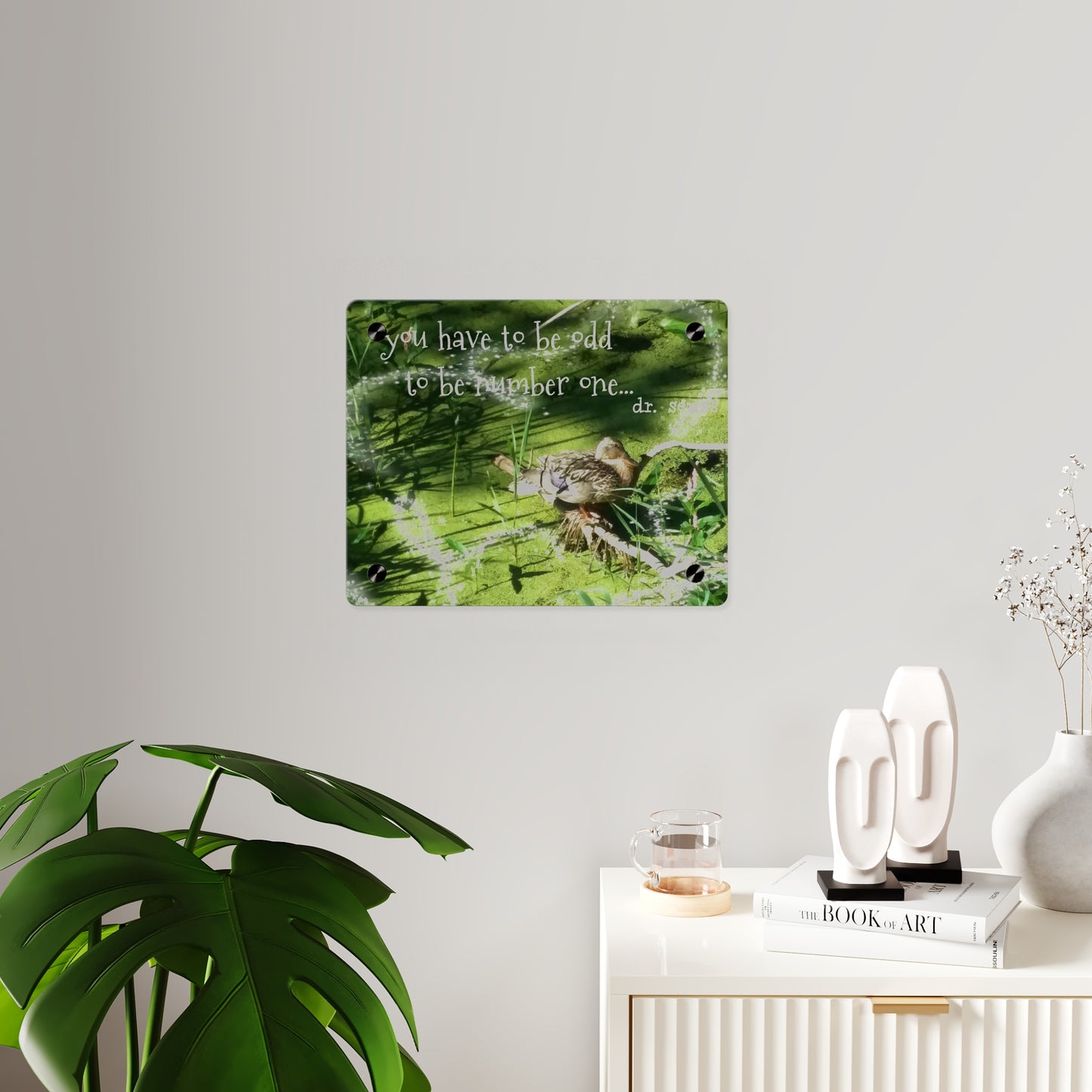 Duck & Dr Suess Acrylic Wall Art, Quirky Home Decor