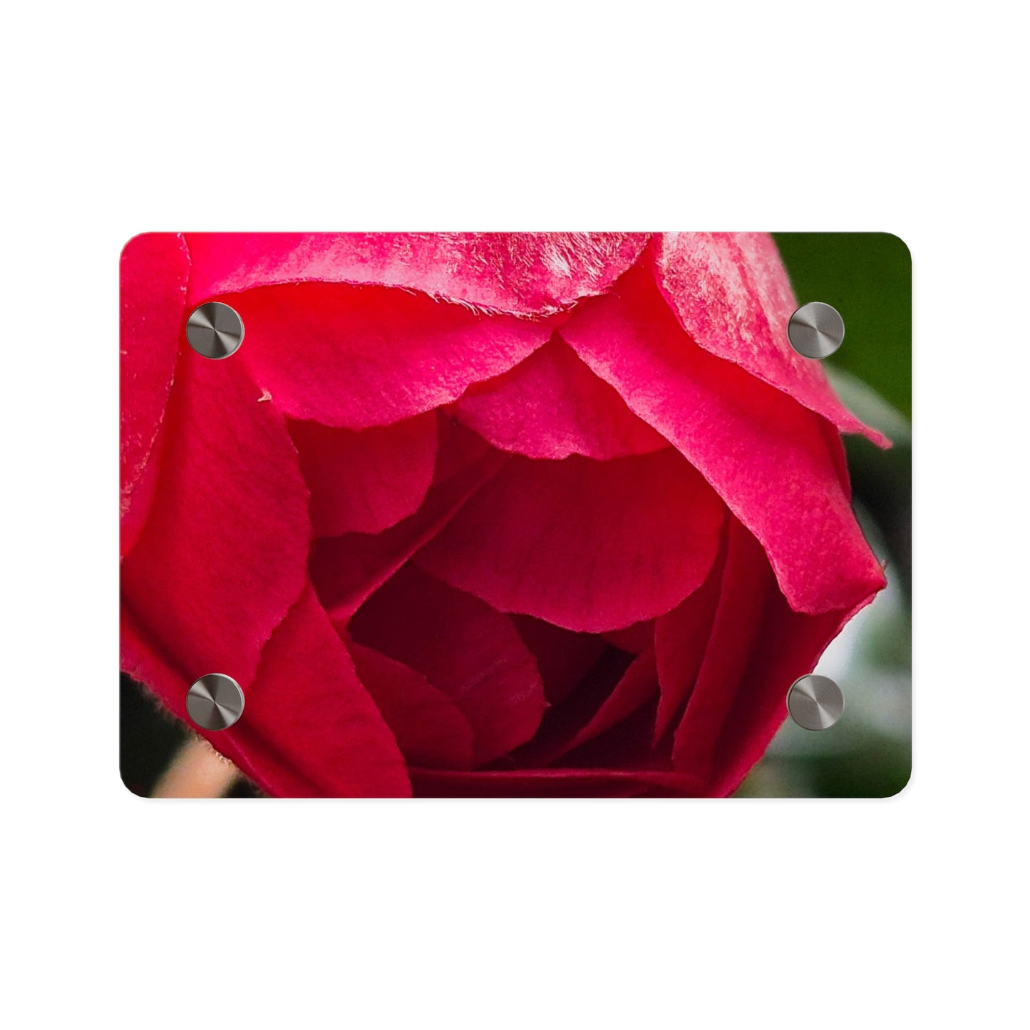 Flower Bud Acrylic Wall Art Panel