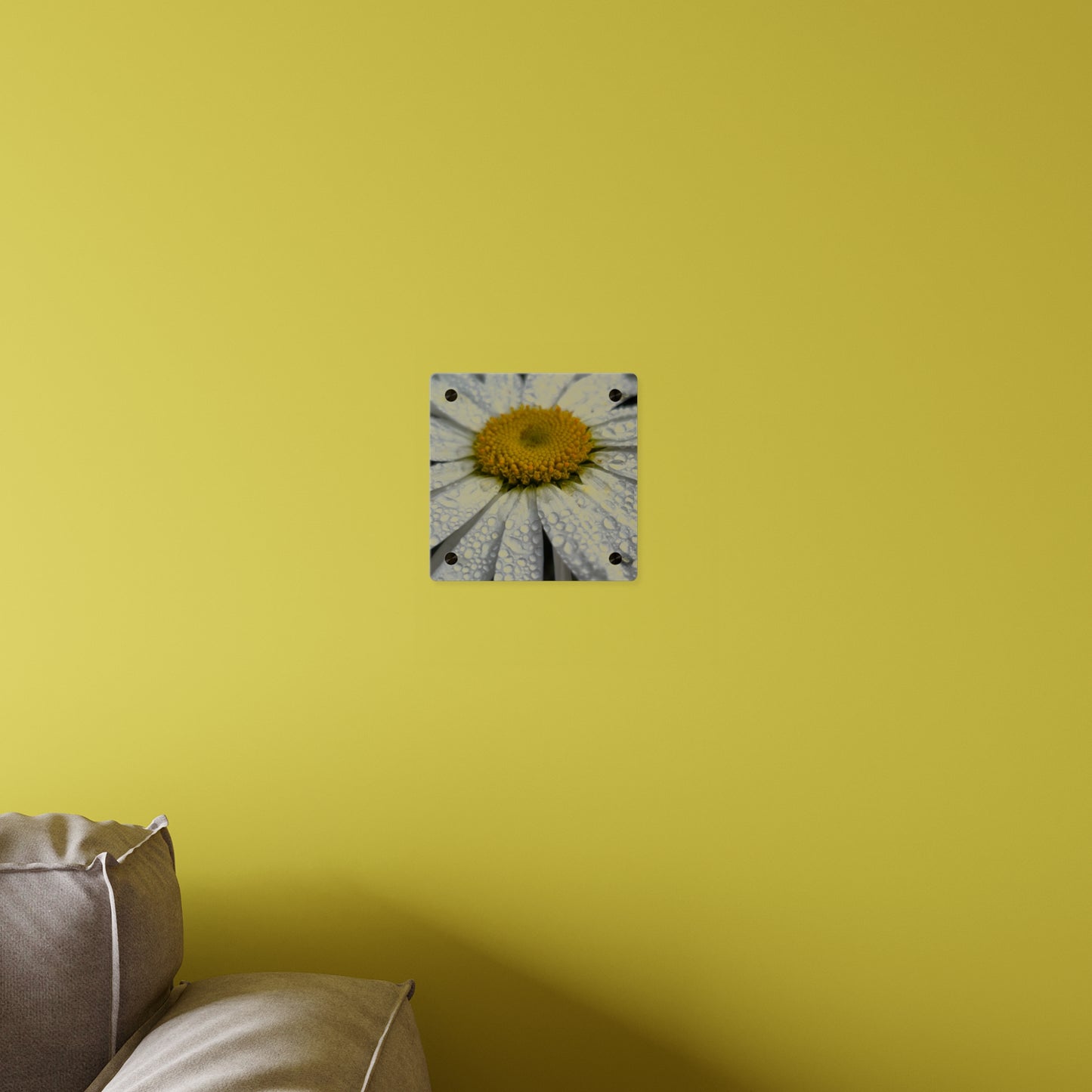 Daisy Acrylic Floral Wall Art