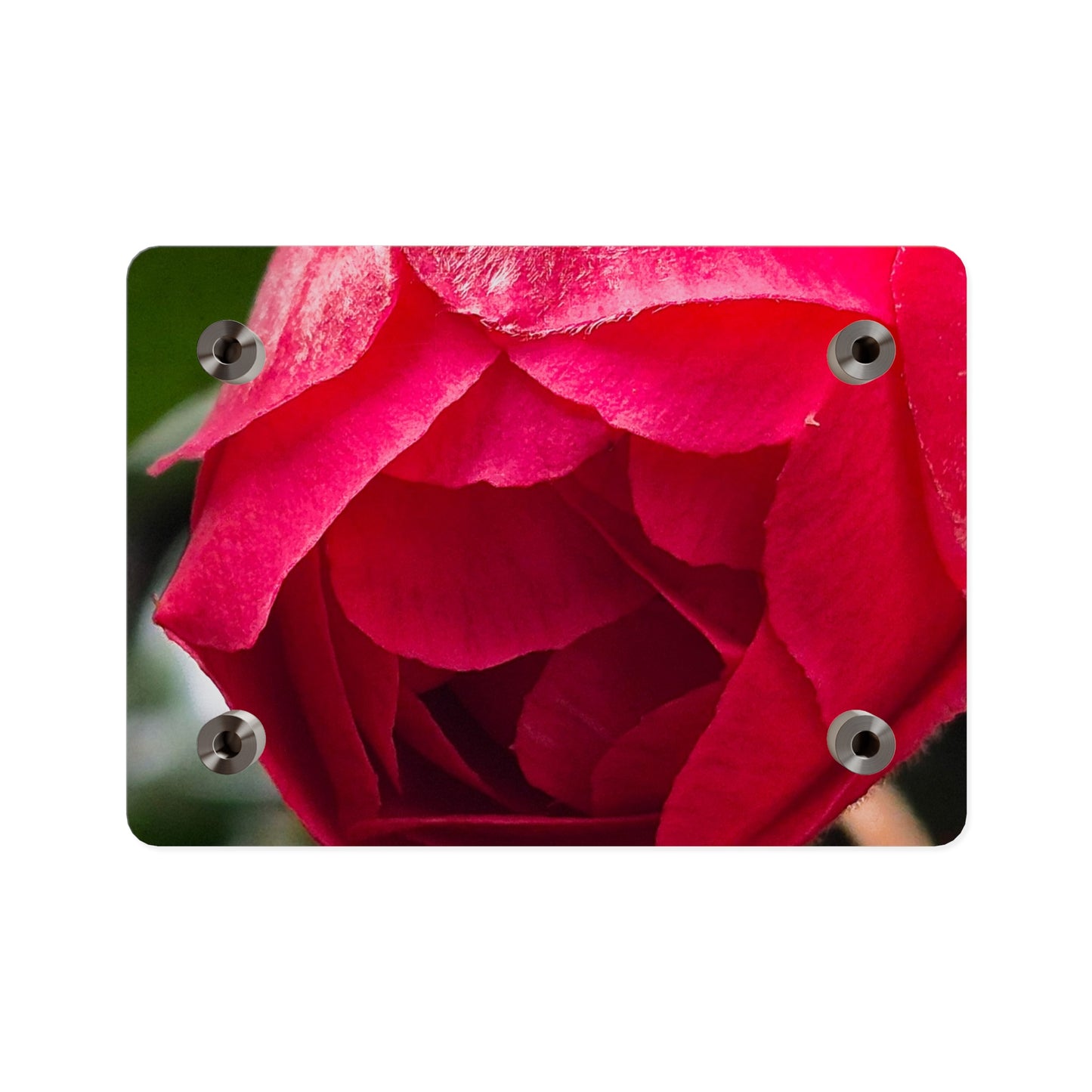 Flower Bud Acrylic Wall Art Panel