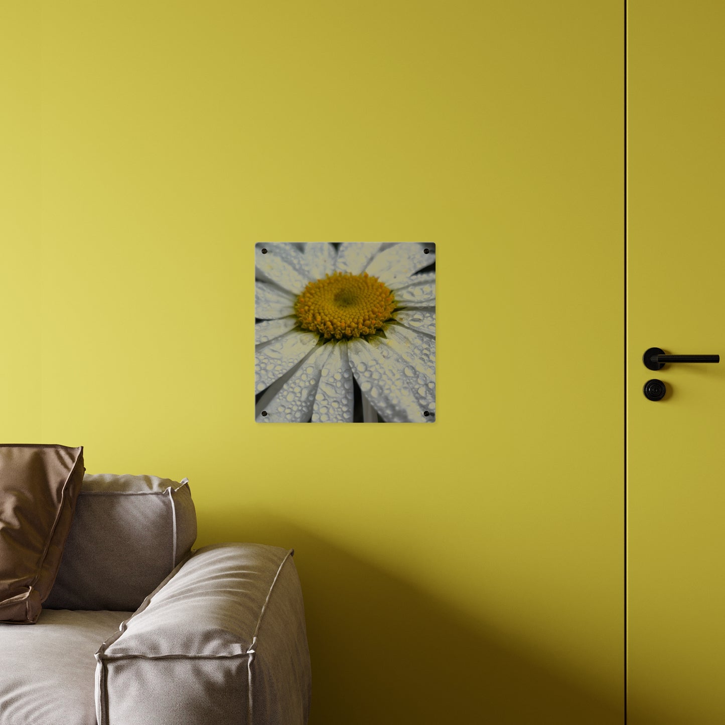 Daisy Acrylic Floral Wall Art