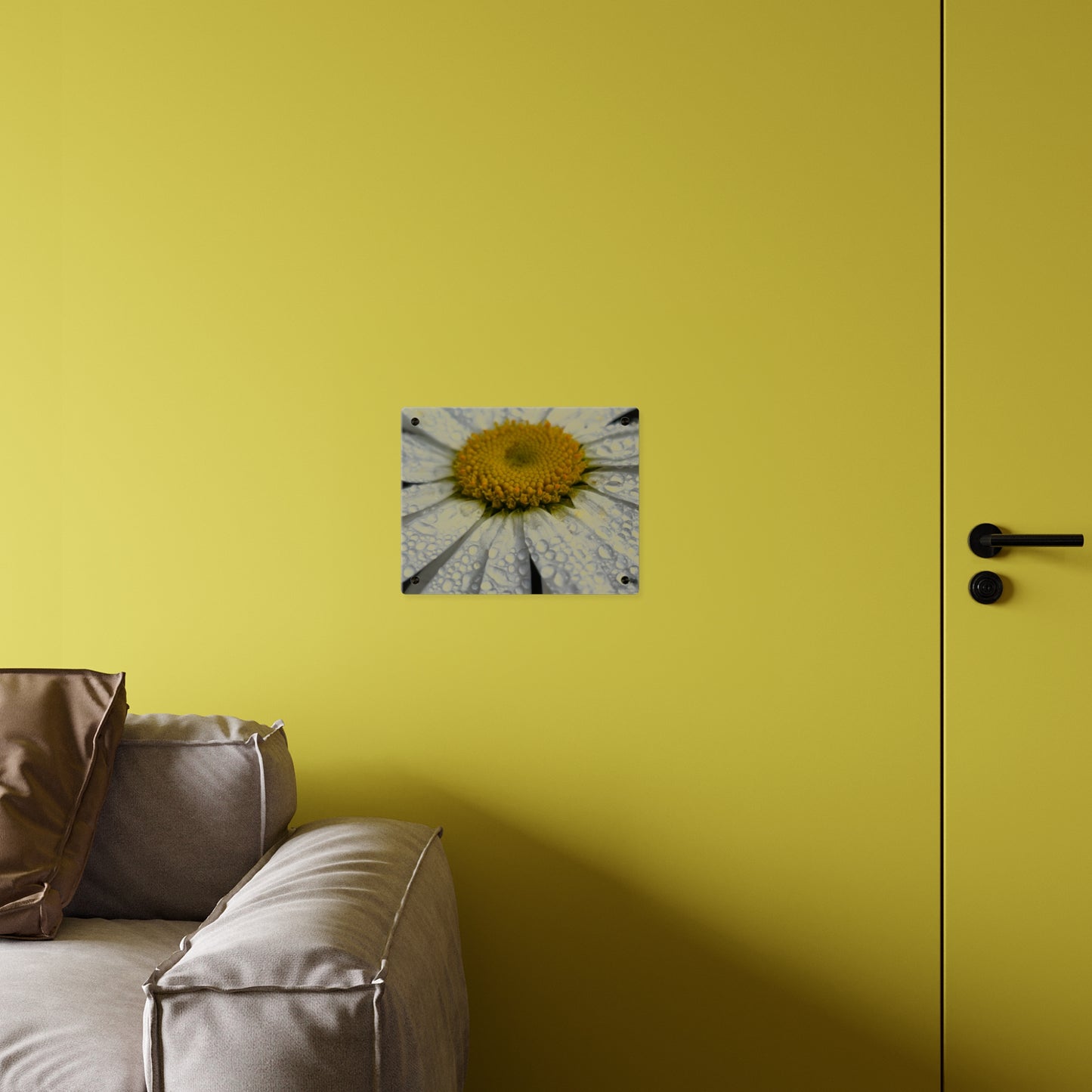 Daisy Acrylic Floral Wall Art
