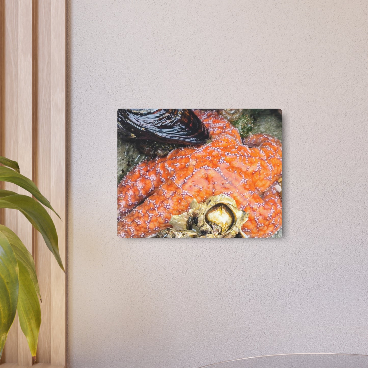 Starfish Metal Wall Art