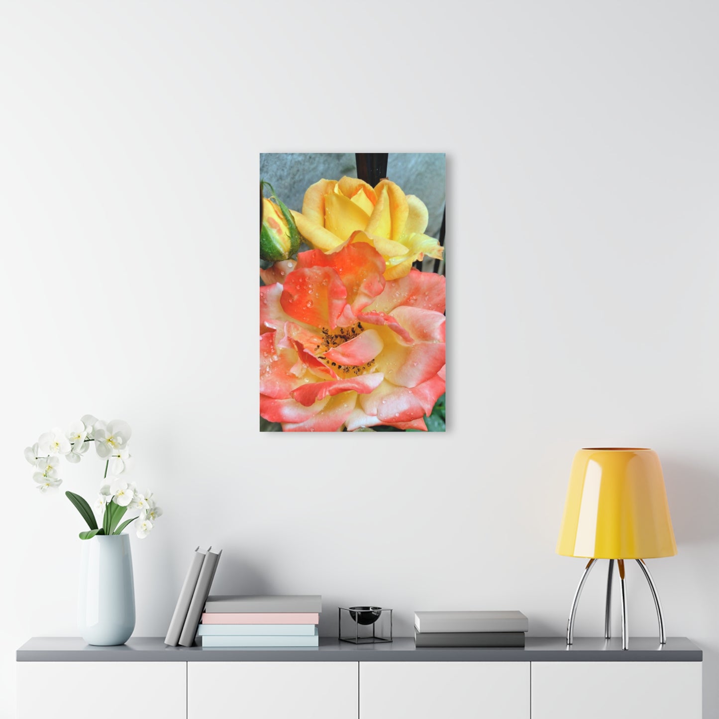 Pink Rose Acrylic Print