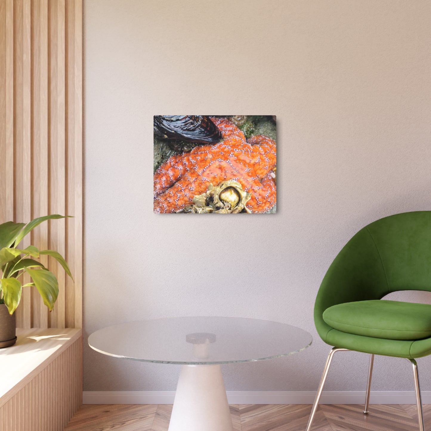Starfish Metal Wall Art