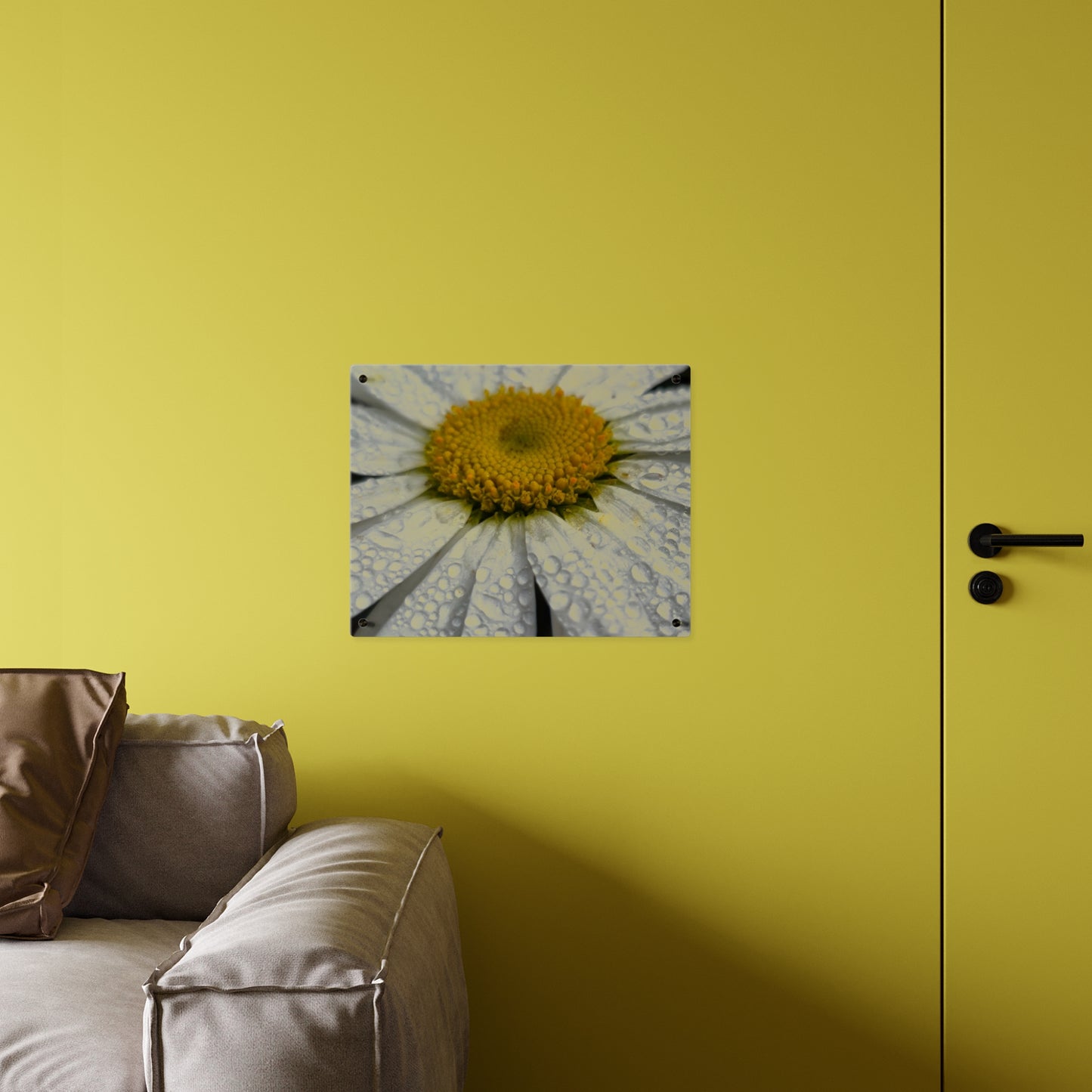 Daisy Acrylic Floral Wall Art