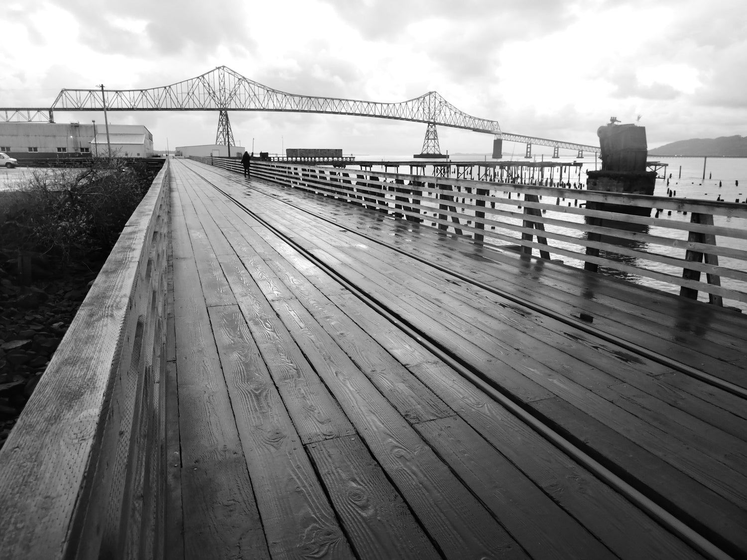 Black & White Wall art Collection