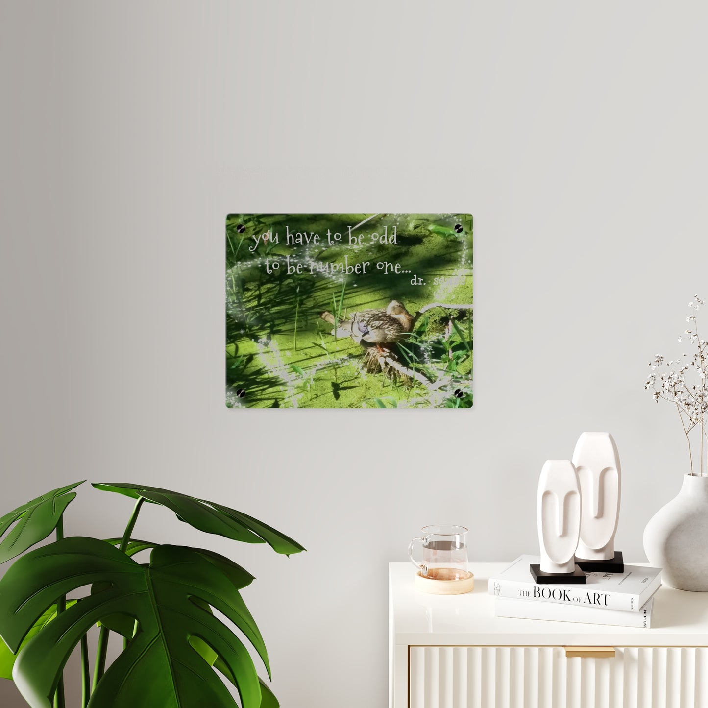Duck & Dr Suess Acrylic Wall Art, Quirky Home Decor