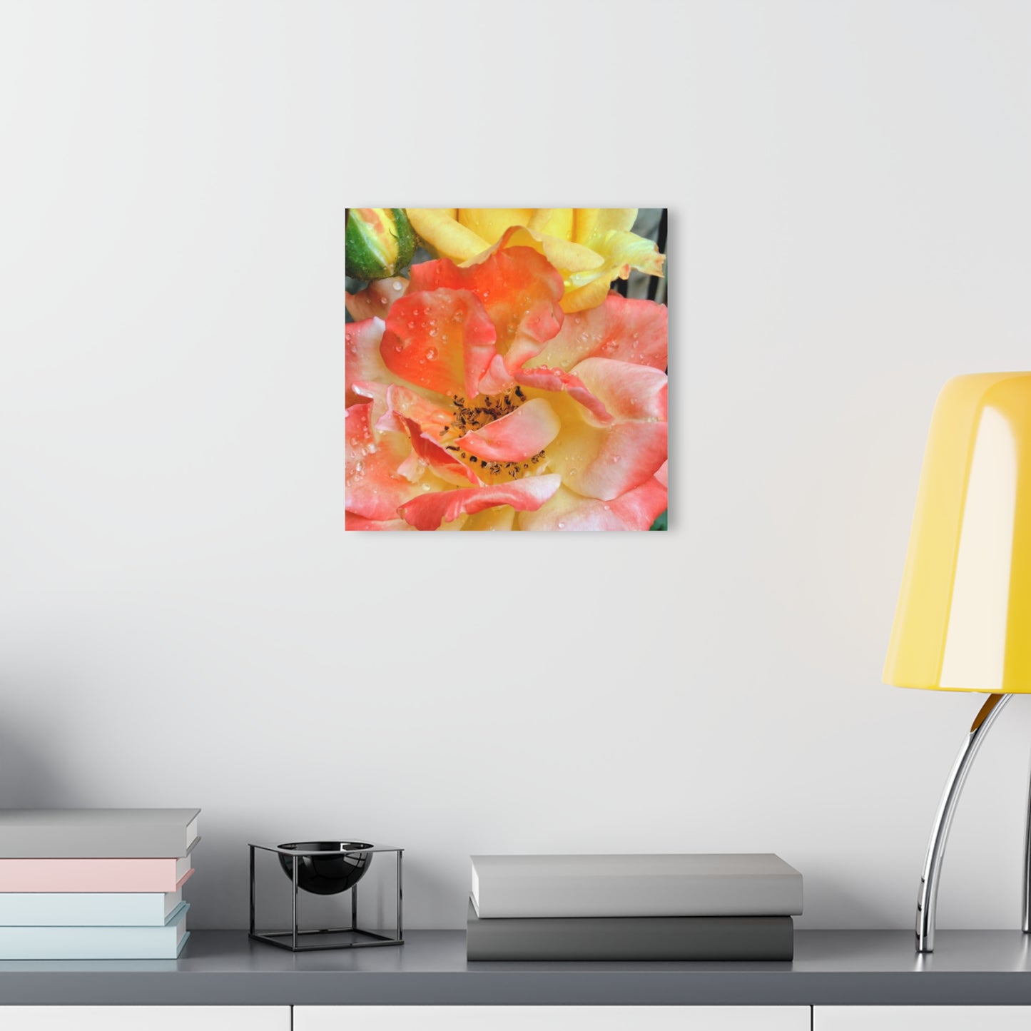 Pink Rose Acrylic Print
