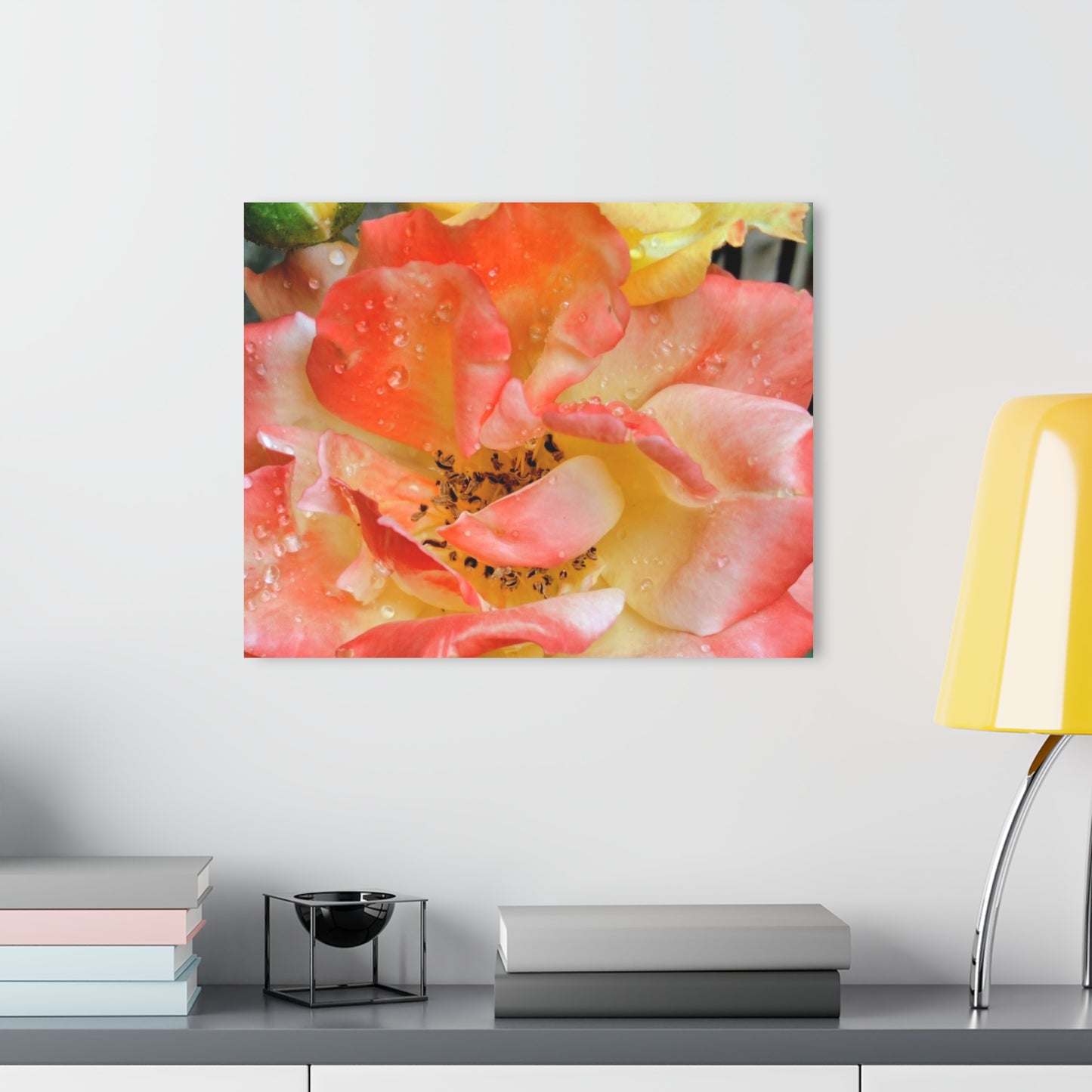 Pink Rose Acrylic Print