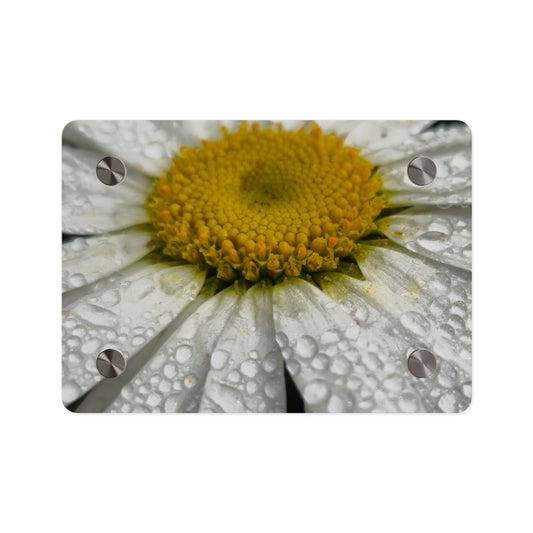 Daisy Acrylic Floral Wall Art