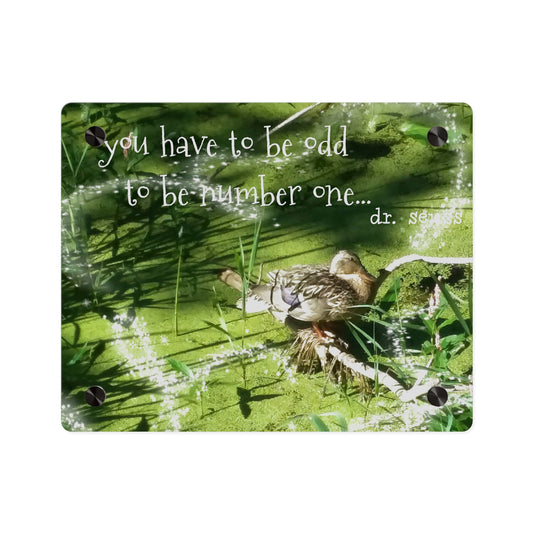 Duck & Dr Suess Acrylic Wall Art, Quirky Home Decor
