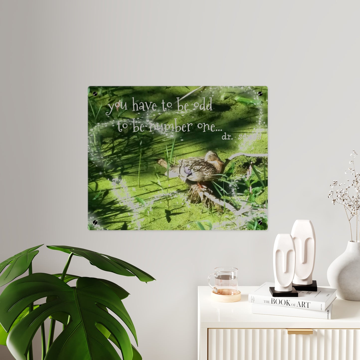 Duck & Dr Suess Acrylic Wall Art, Quirky Home Decor