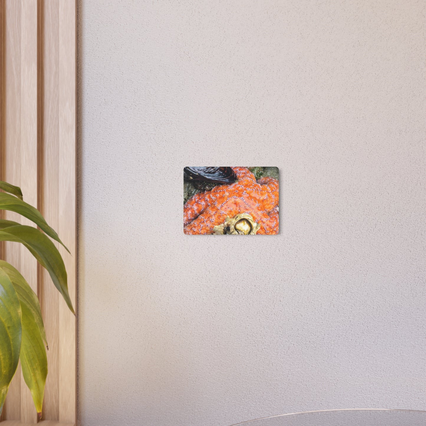 Starfish Metal Wall Art