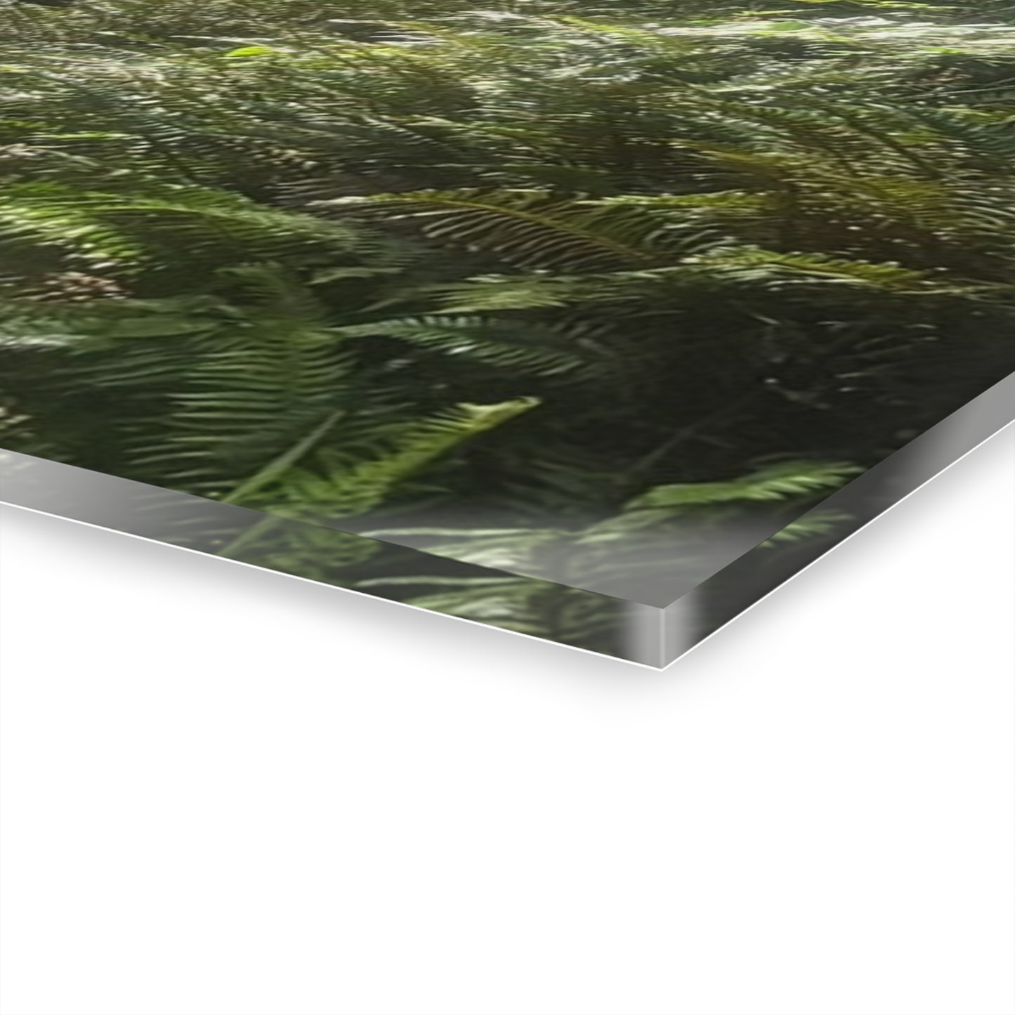 Morning Light Acrylic Wall Art Panels
