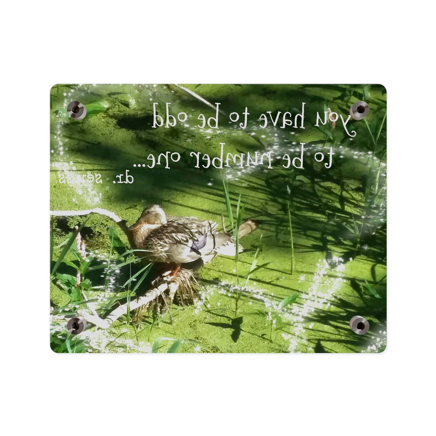 Duck & Dr Suess Acrylic Wall Art, Quirky Home Decor