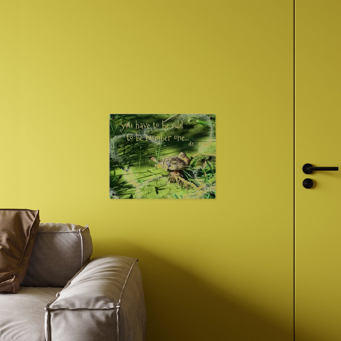 Duck & Dr Suess Acrylic Wall Art, Quirky Home Decor
