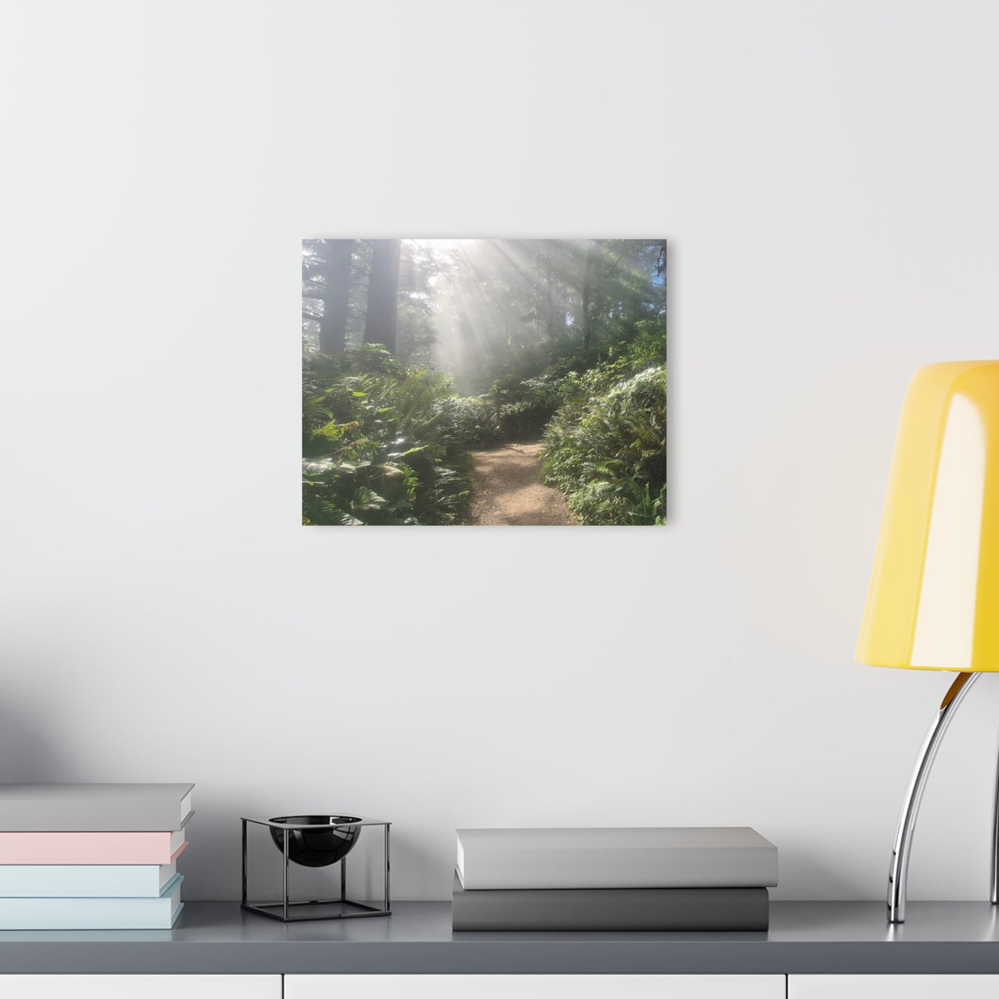 Morning Light Acrylic Wall Art Panels