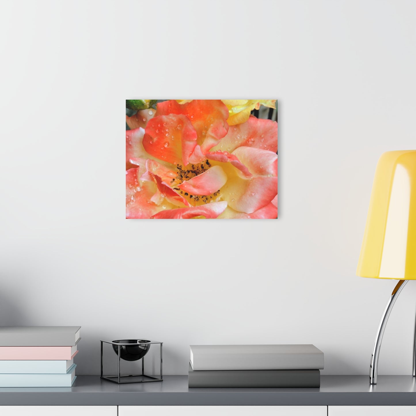 Pink Rose Acrylic Print