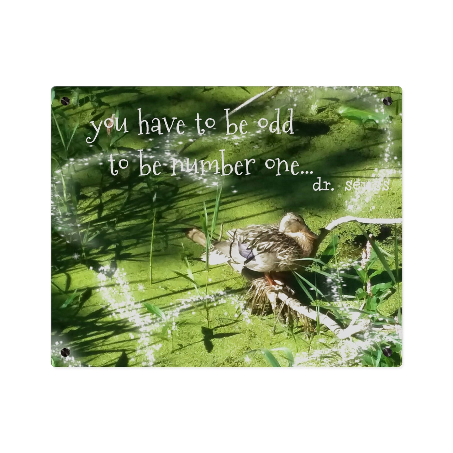 Duck & Dr Suess Acrylic Wall Art, Quirky Home Decor