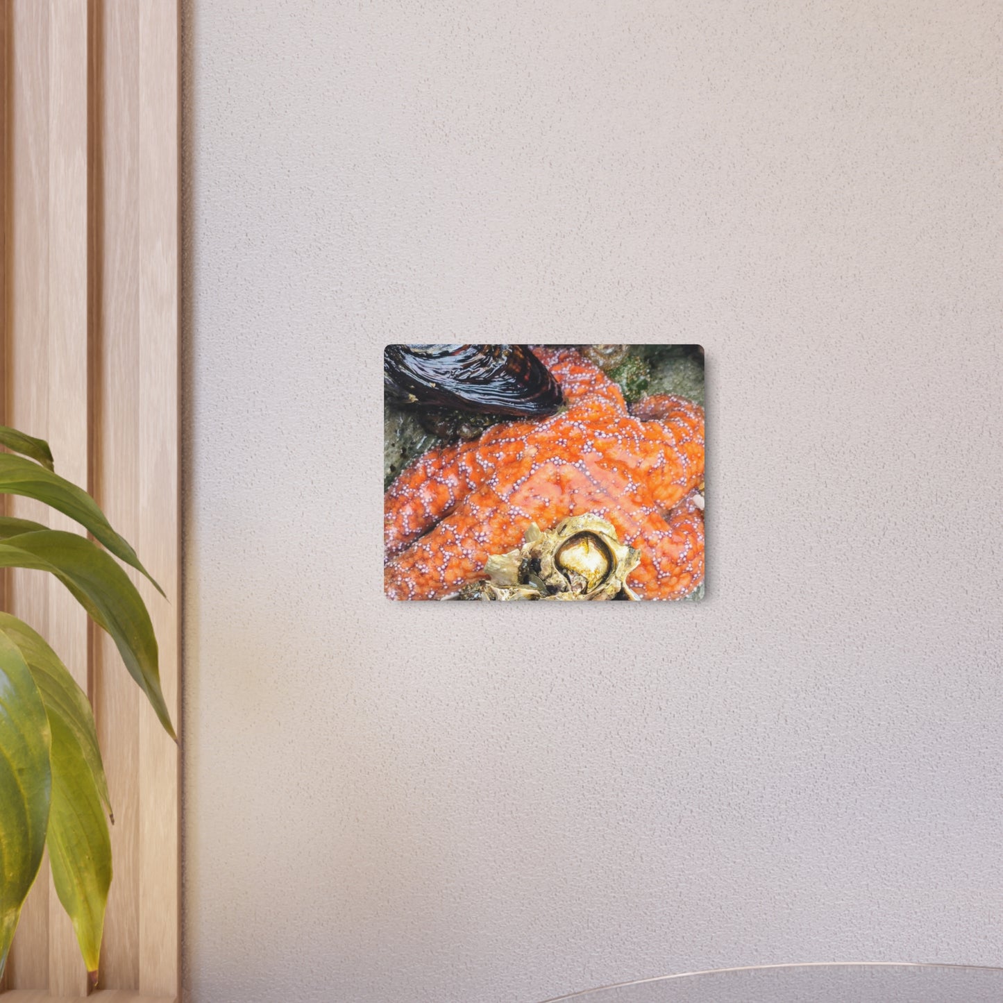 Starfish Metal Wall Art