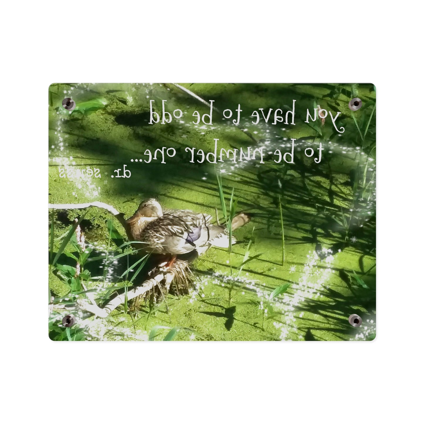 Duck & Dr Suess Acrylic Wall Art, Quirky Home Decor