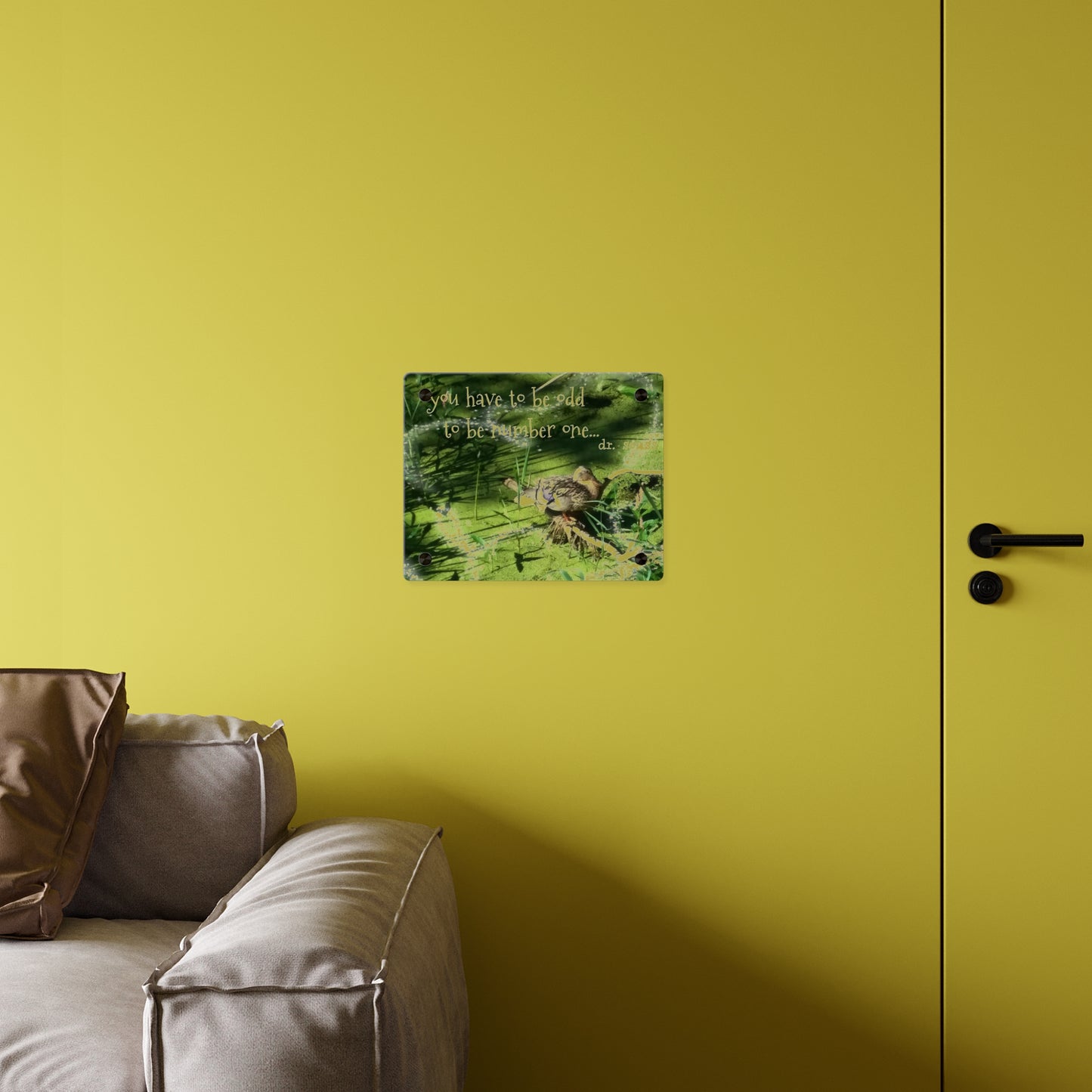 Duck & Dr Suess Acrylic Wall Art, Quirky Home Decor